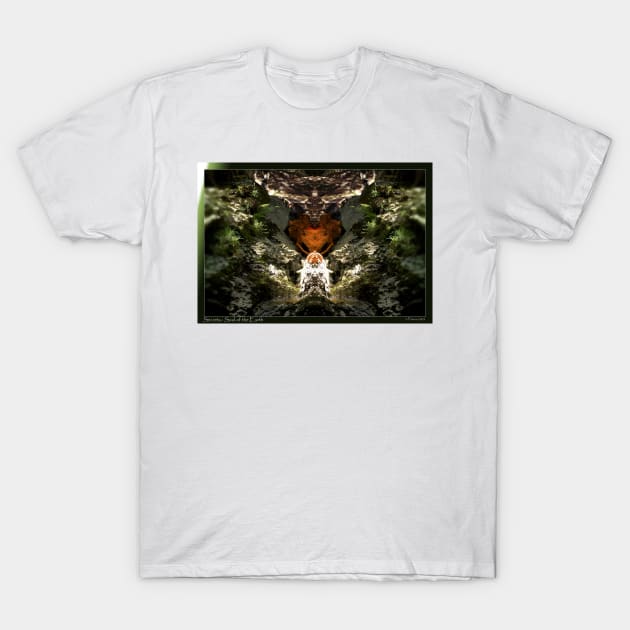 Secrets: Soul of the Earth T-Shirt by Avalinart